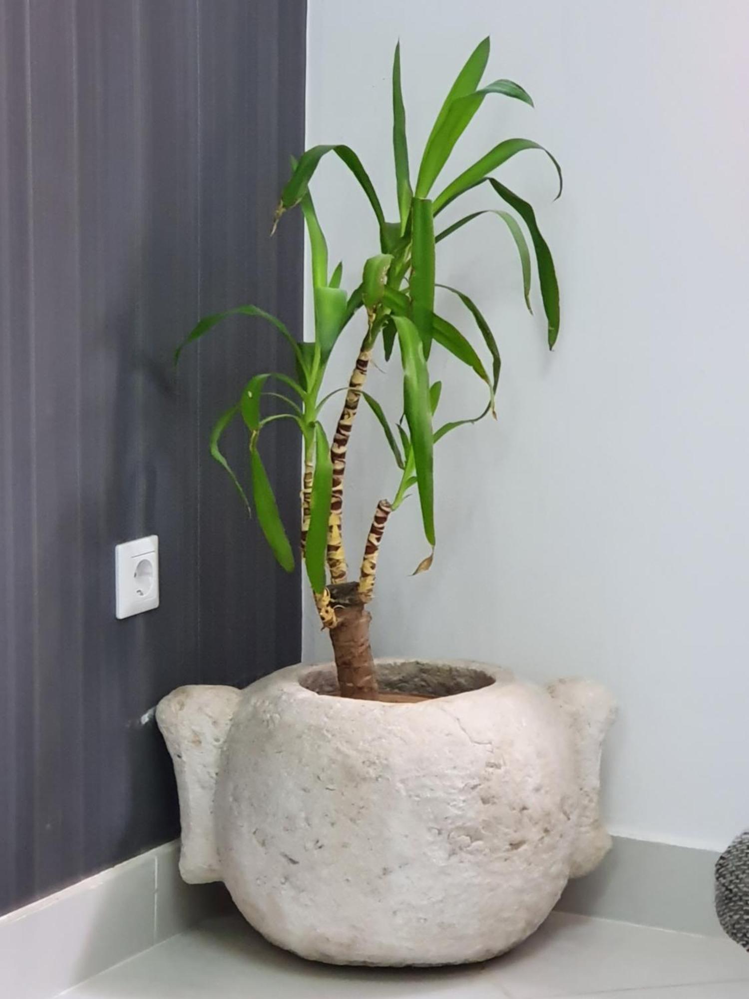 Apartmani Villa Delija كليك المظهر الخارجي الصورة